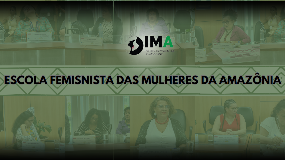 IMA Instituto Mulheres da Amazônia